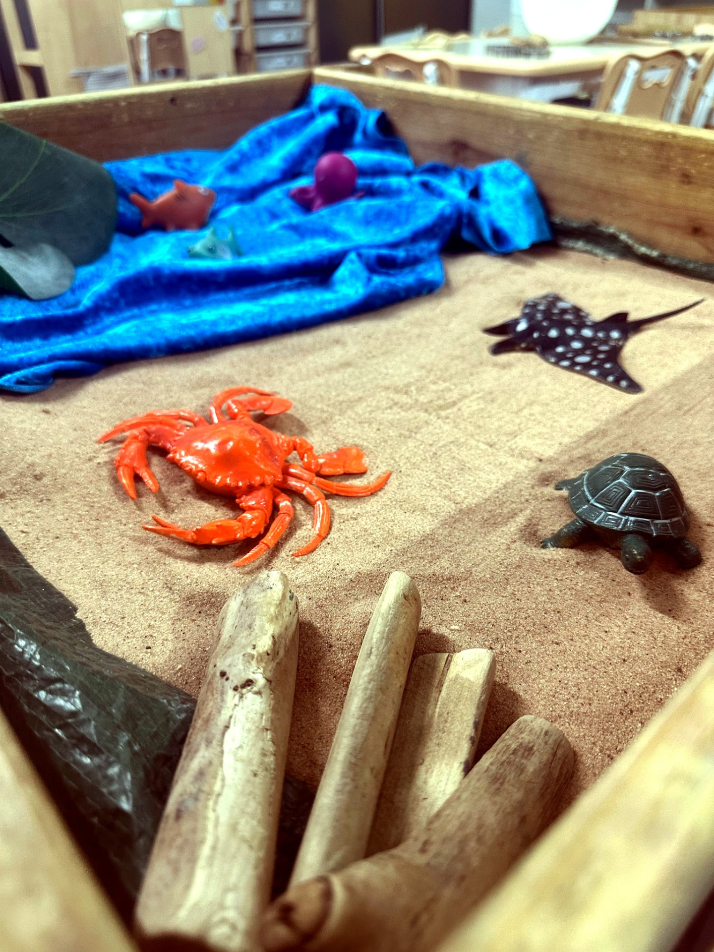 Sensory tray with sand, sea creatures and wooden tools for exploratory play at Teenie Weenies nursery